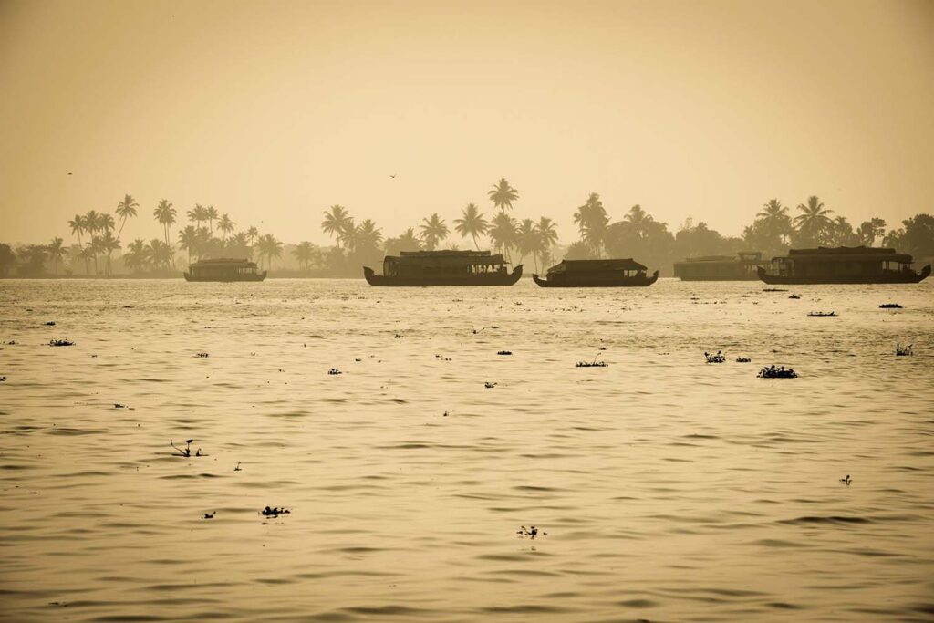 A Comprehensive Guide to Alleppey Houseboat Trip - Alleppey houseboat route